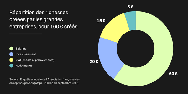 Graphique montrant la répartition des richesses créées par les grandes entreprises, pour 100€ créés