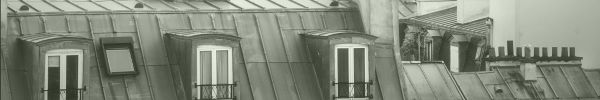 Toits d'appartements haussmanniens