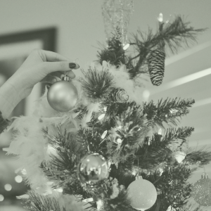 De la croissance sous le sapin